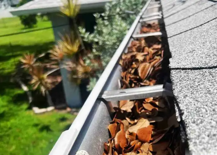 East Aurora gutter cleaning home page